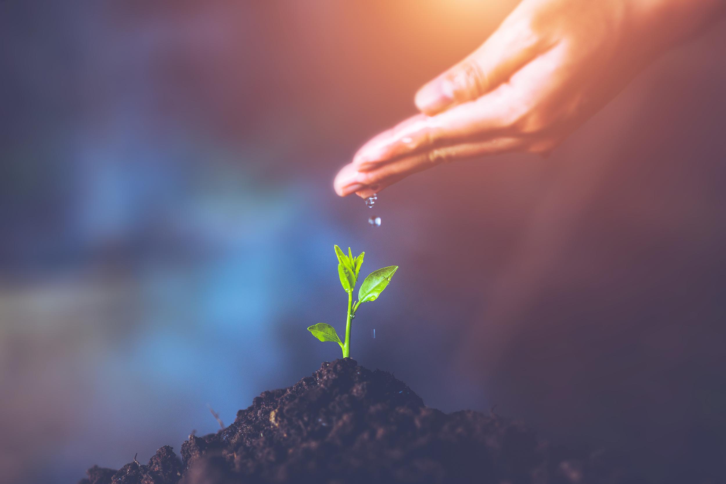 公司调研|碳中和机遇下的富春环保样本：年内有望完成第一单碳交易