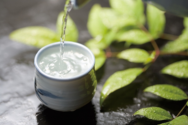 满屏跌停后这只白酒股实现反包涨停！8天6板背后，机构游资博弈不休