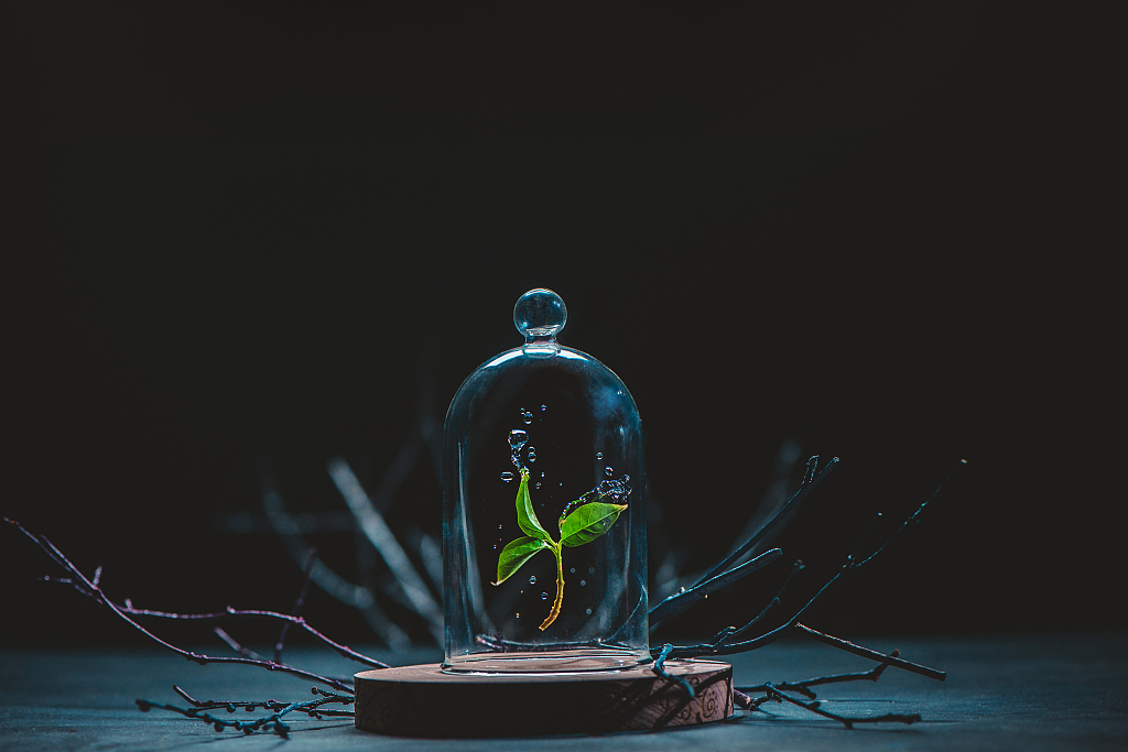 信托公司加速探路碳金融 年内已有6单碳信托设立