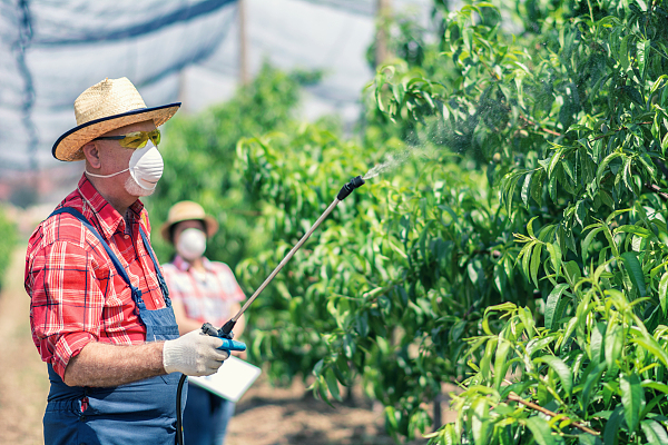 行业观察|百菌清价格降至近年历史低位 业内人士：企业利润进一步被压缩