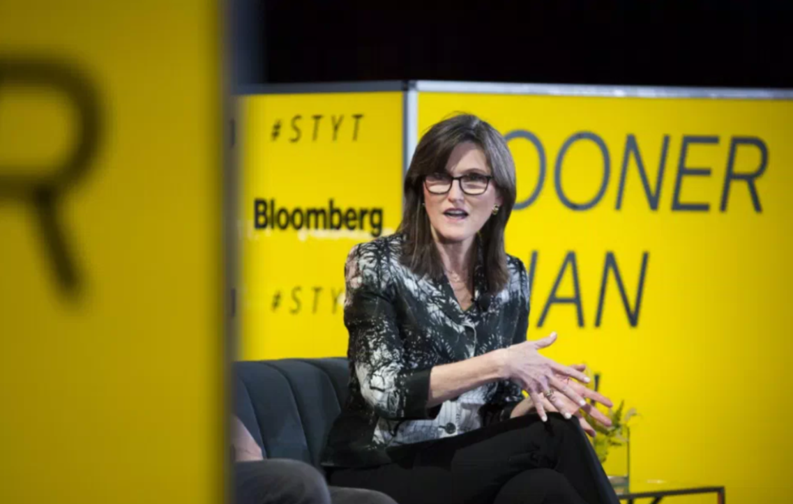 Ark 木头 姐 持仓 (99) 사진