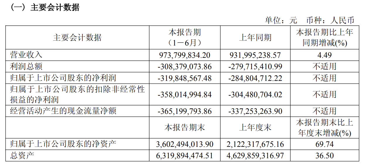 芯原股份半年报亏损扩大，AI芯片业务增长亮眼