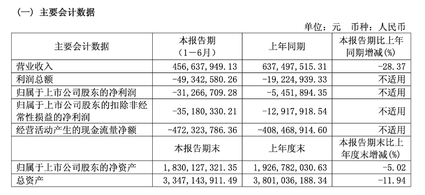 莱斯信息半年报：营收净利双降