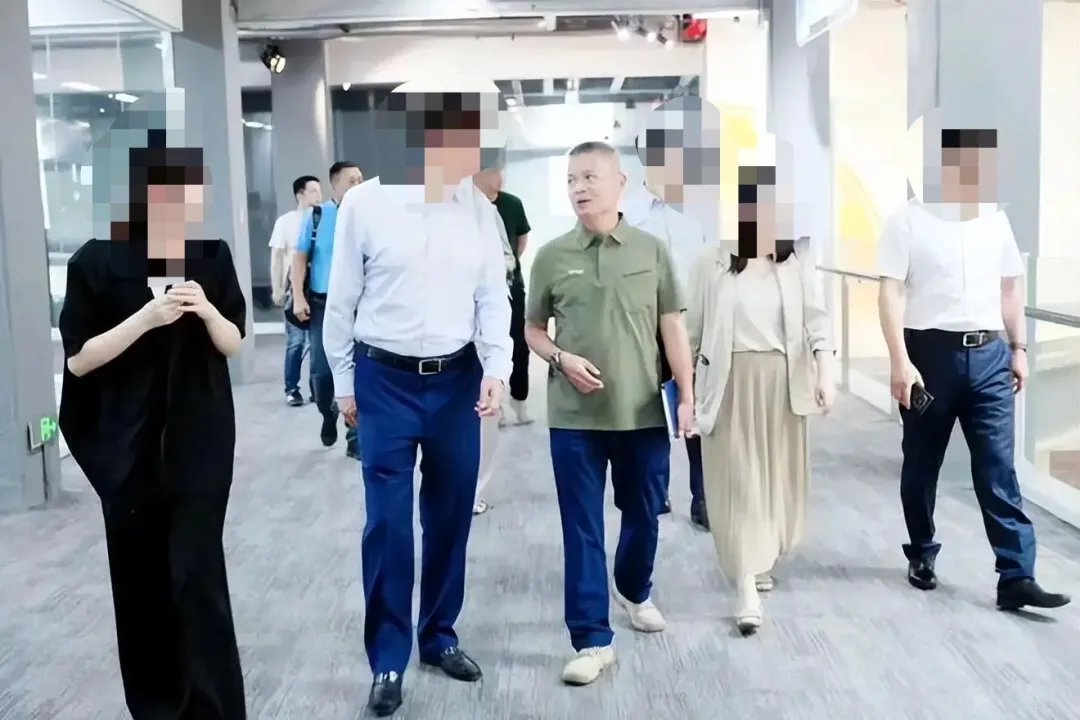 娃哈哈严学峰被解除调查已返岗