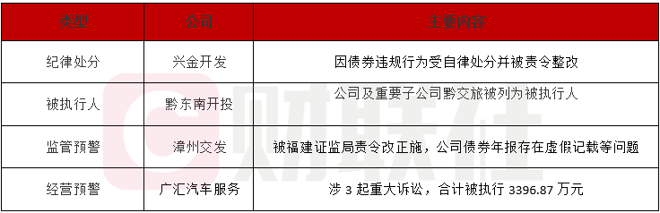 兴金开发非市场化发债被查