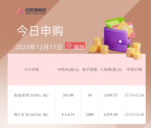 希迪智驾启动港股招股